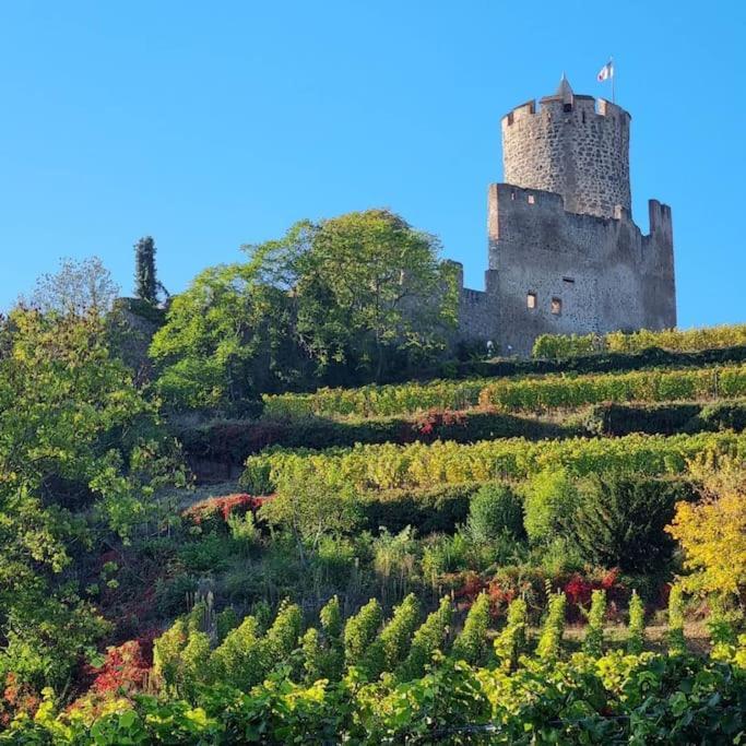 La Jolie Maison Bleue, Au Coeur De L'Alsace Kaysersberg-Vignoble Luaran gambar
