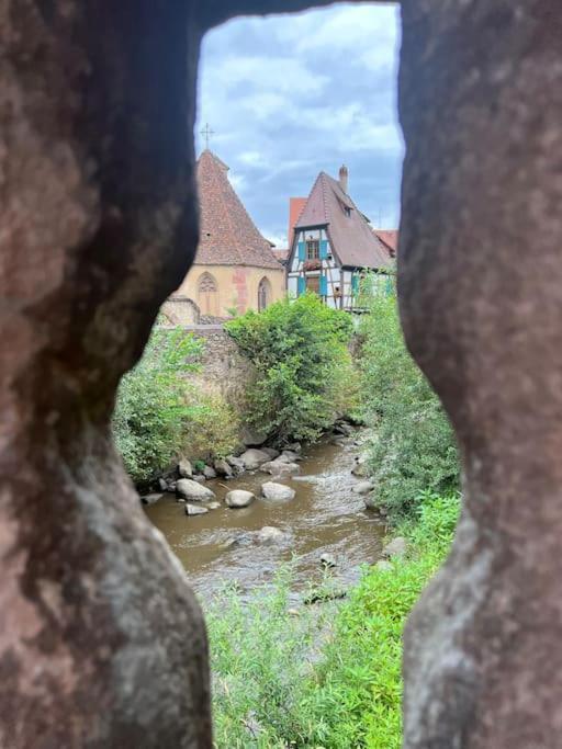 La Jolie Maison Bleue, Au Coeur De L'Alsace Kaysersberg-Vignoble Luaran gambar