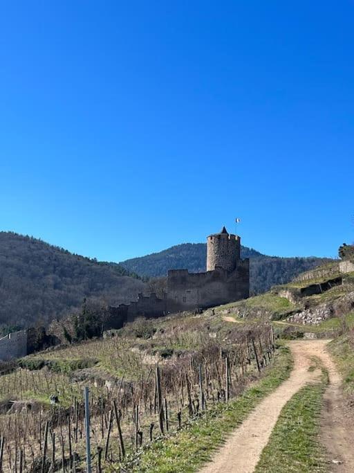 La Jolie Maison Bleue, Au Coeur De L'Alsace Kaysersberg-Vignoble Luaran gambar